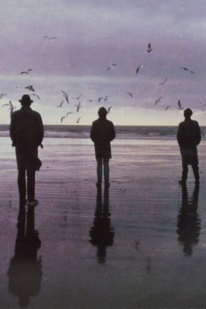 Echo And The Bunnymen