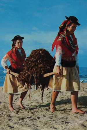 Grupo de Sargaceiros da Casa do Povo da Apúlia