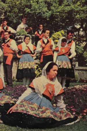 Grupo Folclórico da Senra