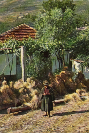 Grupo Folclórico de Bravães