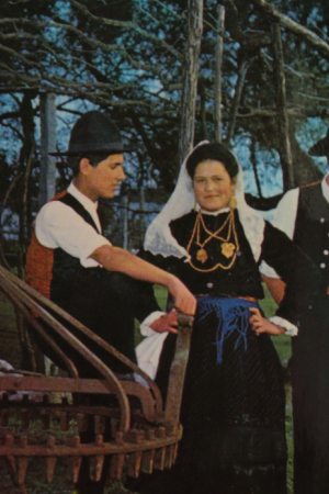 Grupo Folclórico de Vila Verde