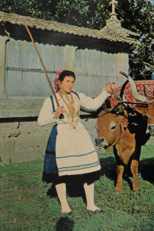 Rancho Folclórico das Lavradeiras de Nogueira