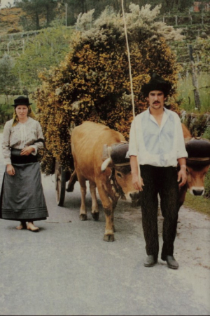 Rancho Folclórico do Povo de Manhouce