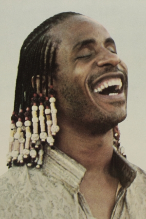 Stevie Wonder