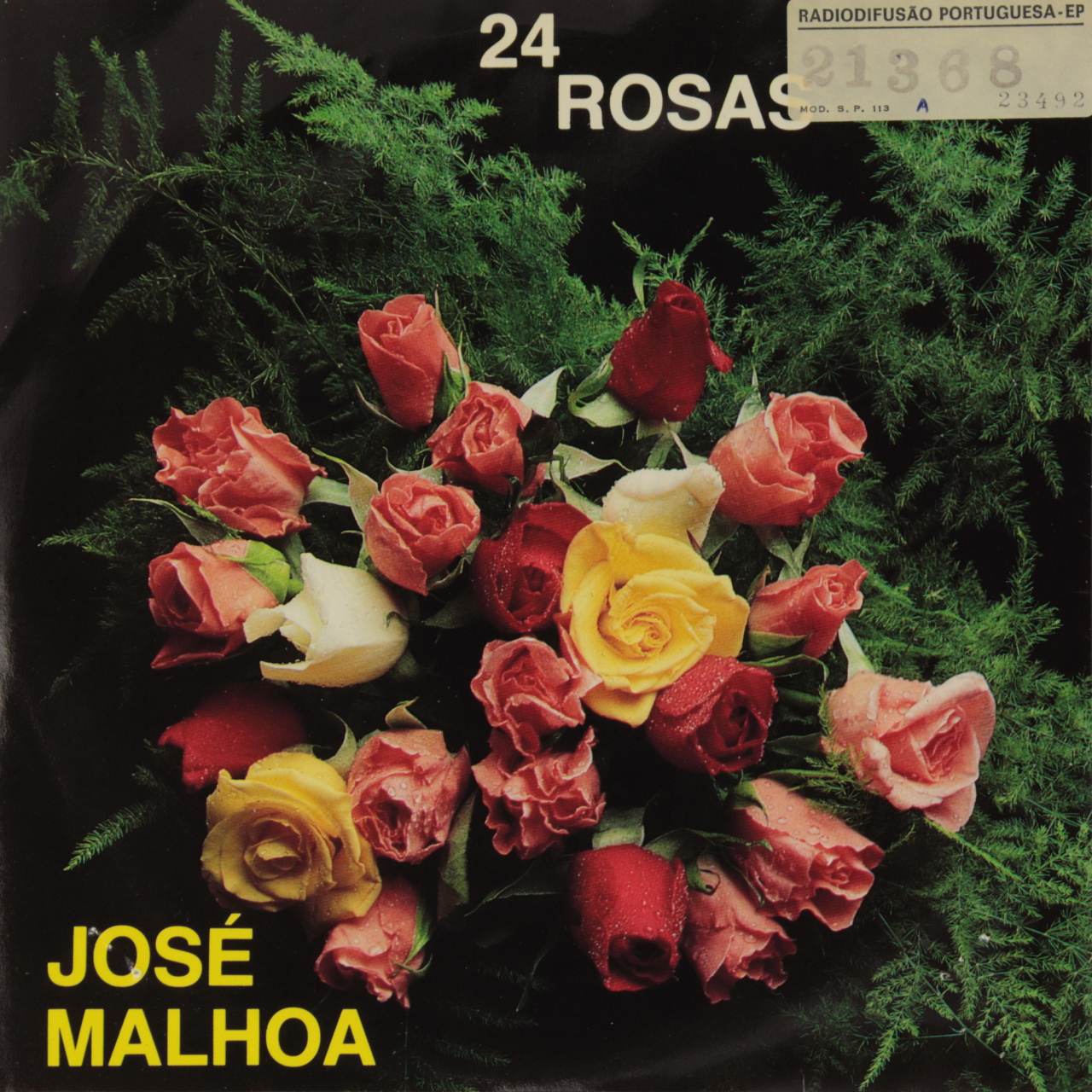 24 rosas