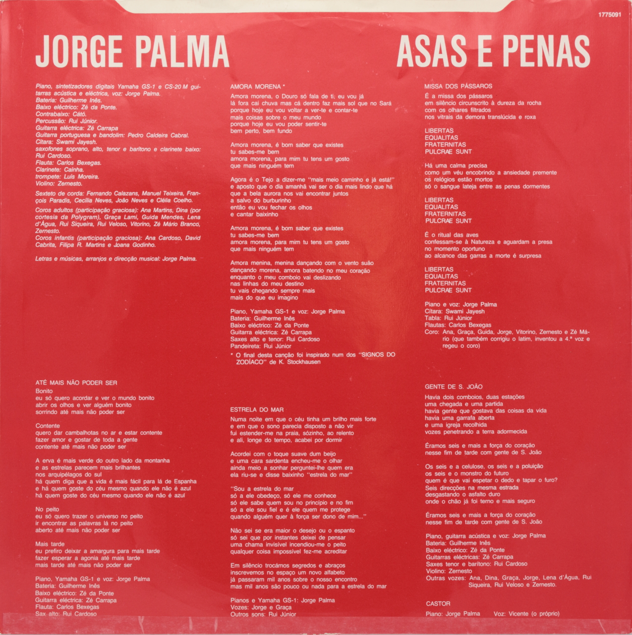 Asas e penas