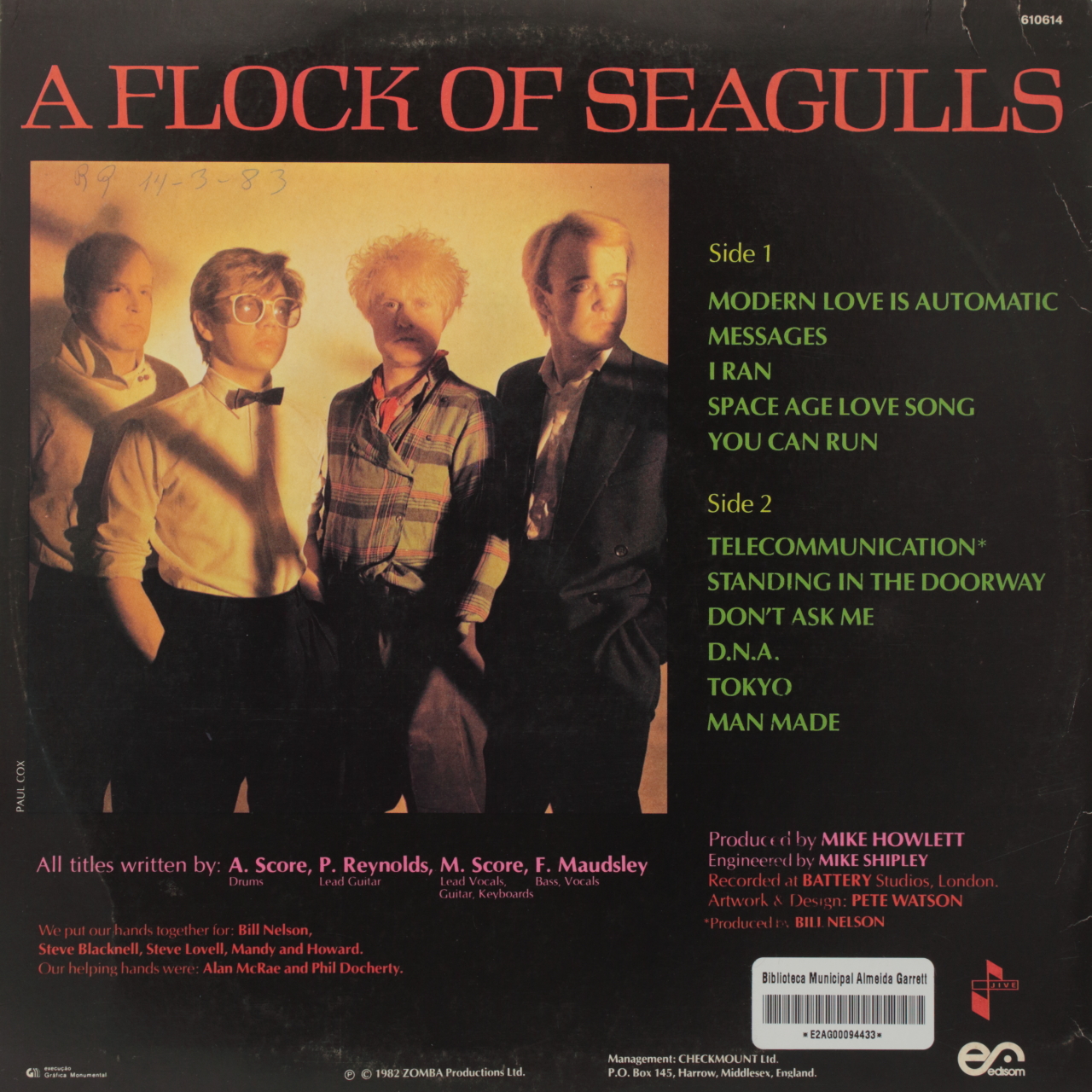 A Flock of Seagulls