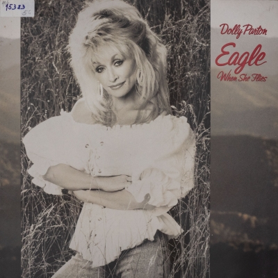 Eagle When She Flies