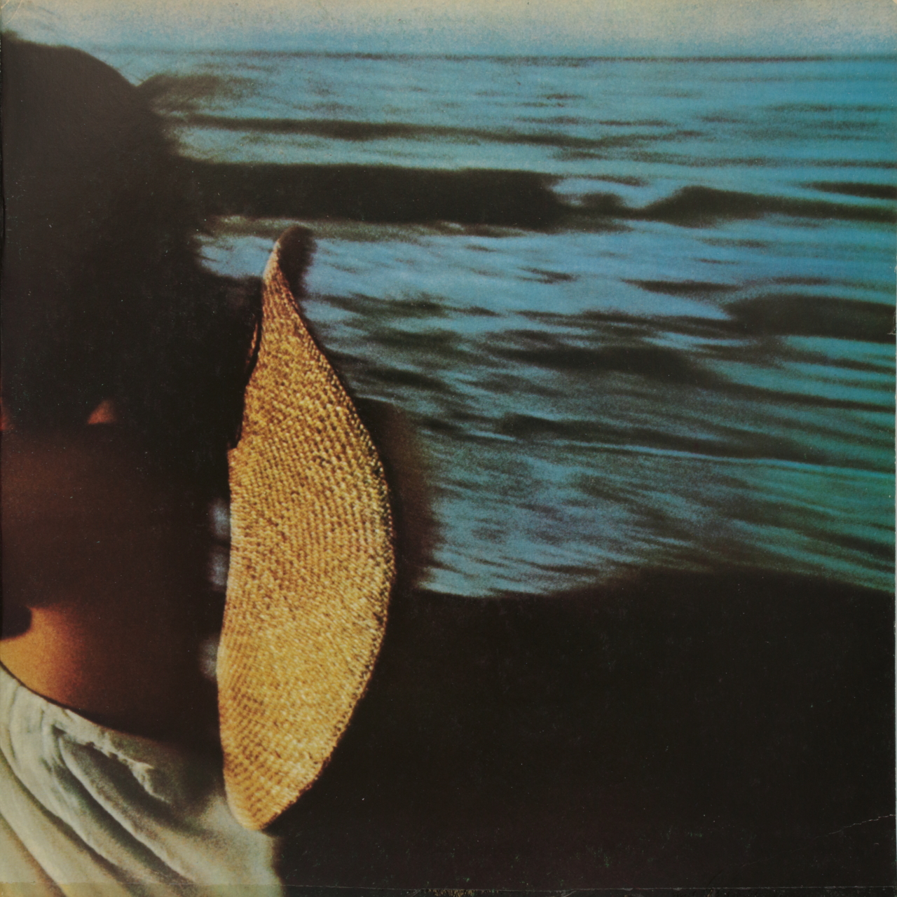 Hasten down the wind