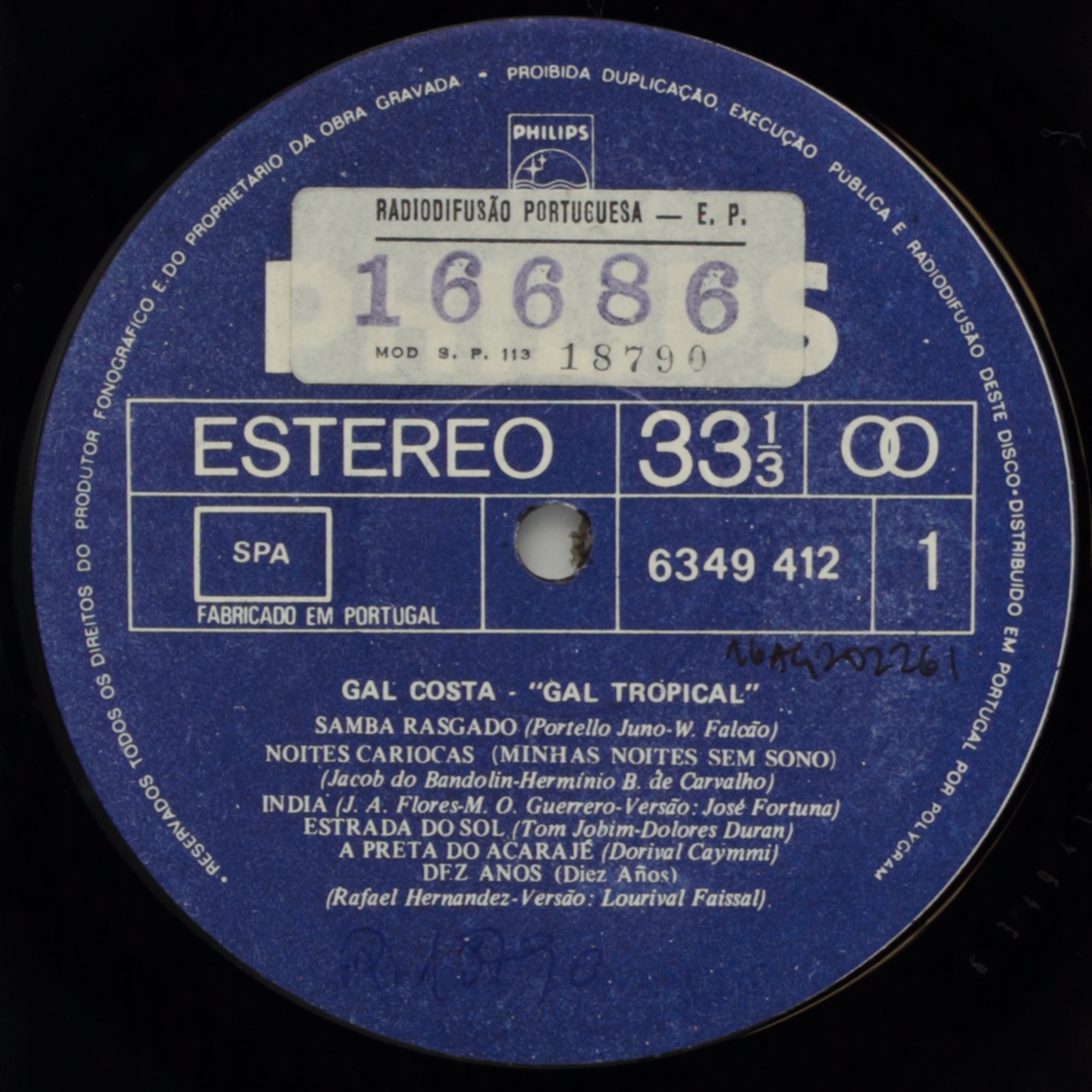 Gal tropical