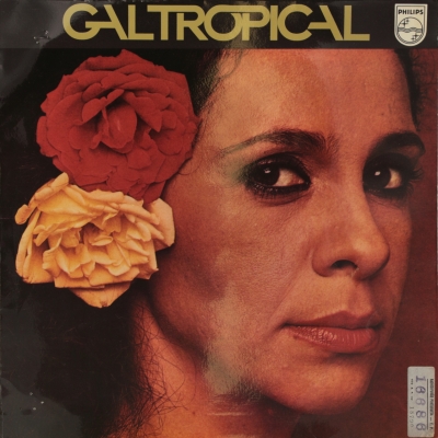 Gal tropical