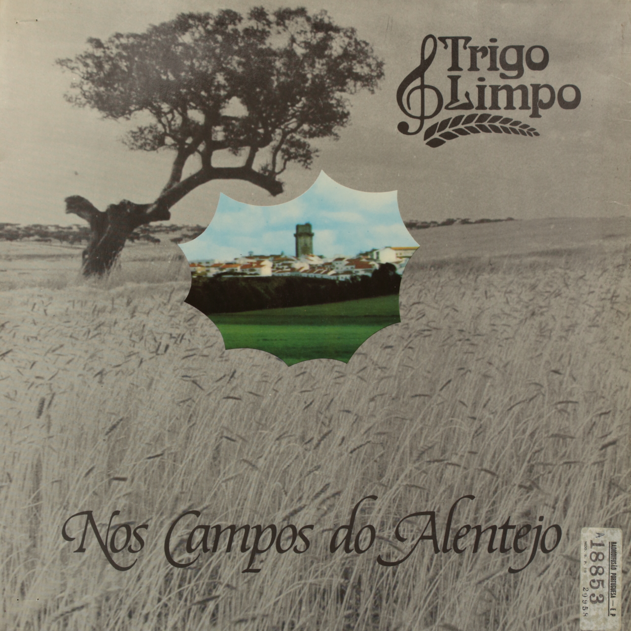Nos campos do Alentejo