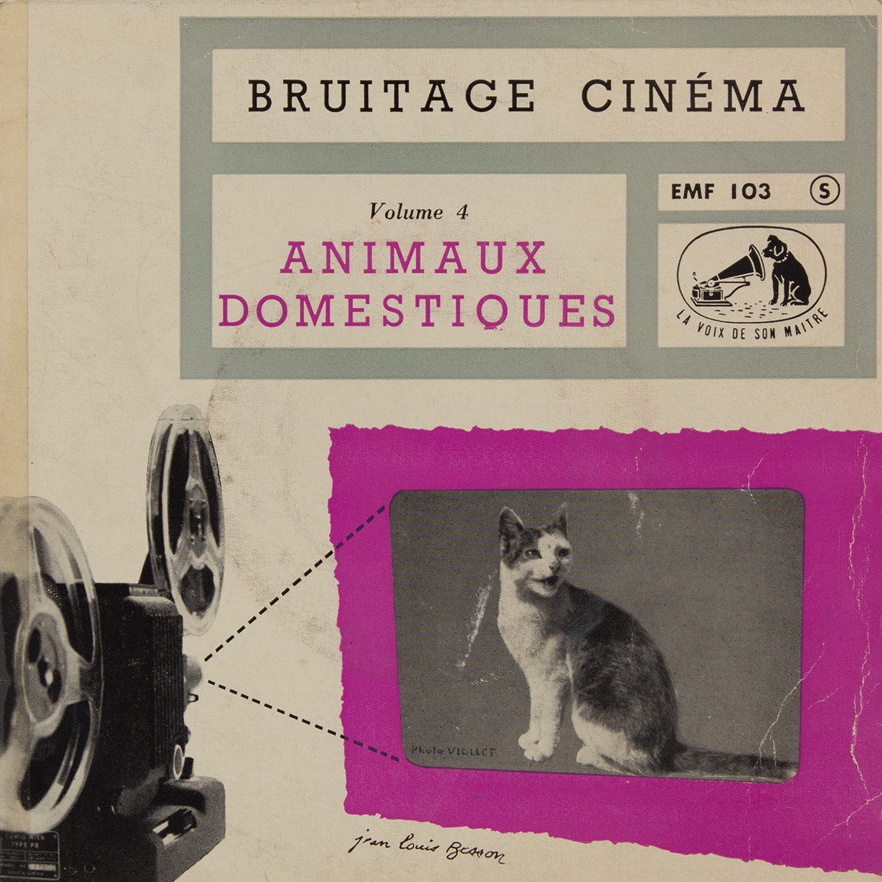 Animaux domestiques