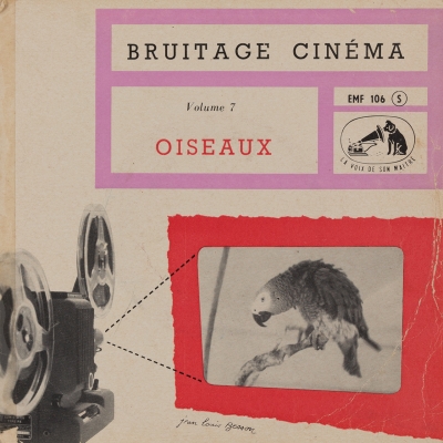 Oiseaux