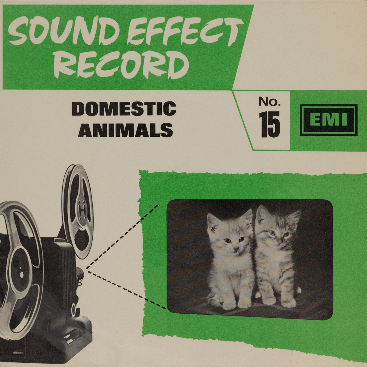 Domestic Animals